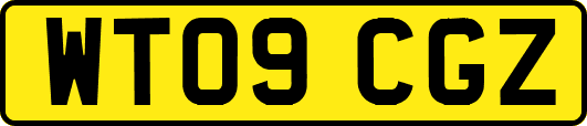 WT09CGZ