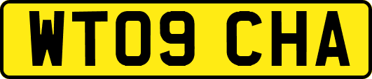 WT09CHA