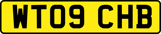 WT09CHB