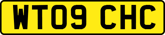 WT09CHC