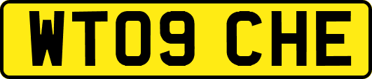 WT09CHE
