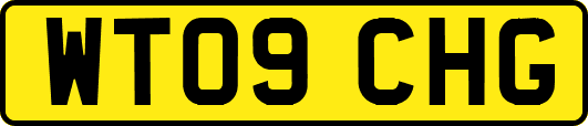 WT09CHG