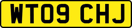 WT09CHJ