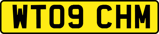 WT09CHM