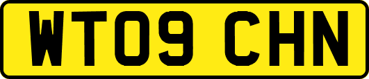 WT09CHN