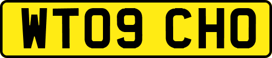 WT09CHO
