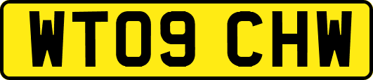 WT09CHW