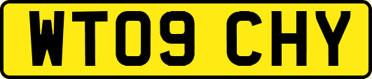 WT09CHY