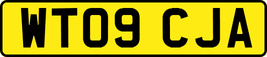 WT09CJA