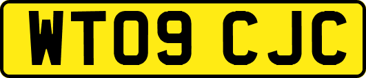 WT09CJC