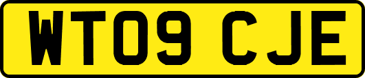 WT09CJE