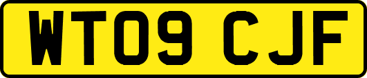 WT09CJF