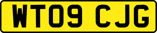 WT09CJG