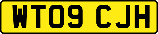 WT09CJH