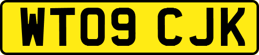 WT09CJK