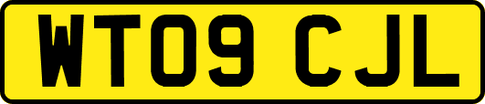 WT09CJL