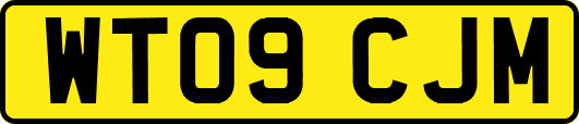 WT09CJM