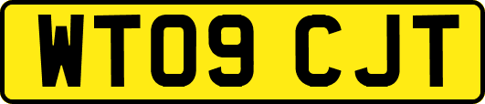 WT09CJT