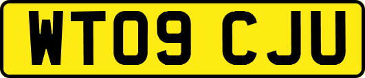 WT09CJU