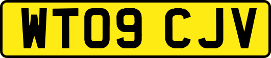 WT09CJV