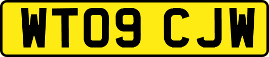 WT09CJW