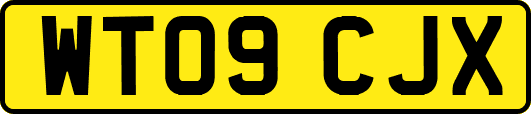 WT09CJX