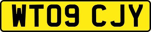 WT09CJY