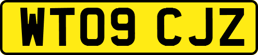 WT09CJZ