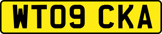 WT09CKA