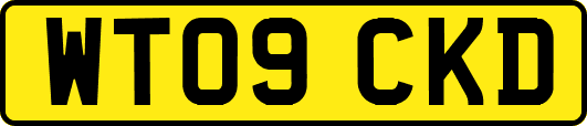 WT09CKD