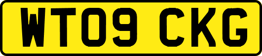 WT09CKG