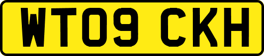WT09CKH