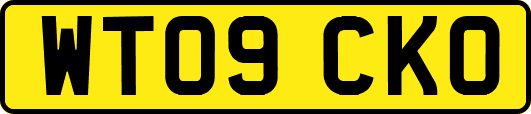 WT09CKO