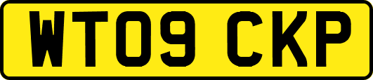 WT09CKP