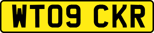 WT09CKR
