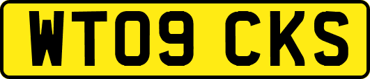 WT09CKS
