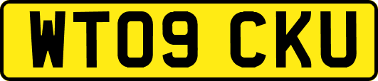 WT09CKU