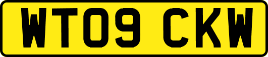 WT09CKW