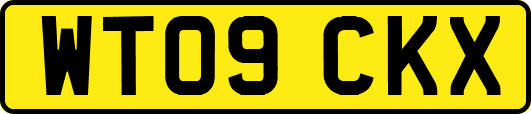 WT09CKX