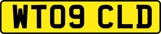 WT09CLD