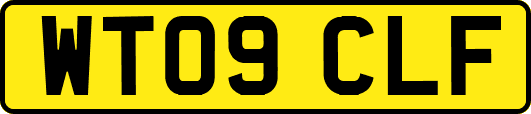 WT09CLF