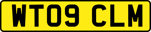 WT09CLM