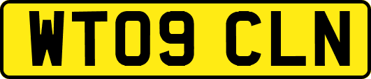 WT09CLN