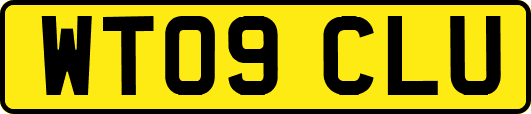 WT09CLU