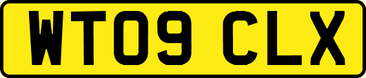 WT09CLX
