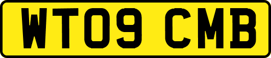 WT09CMB