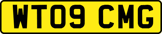 WT09CMG