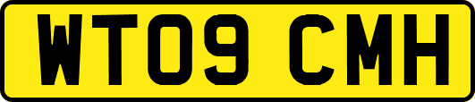 WT09CMH