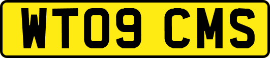 WT09CMS