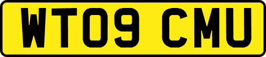 WT09CMU